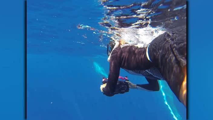 Sydney's very own whale whisperer