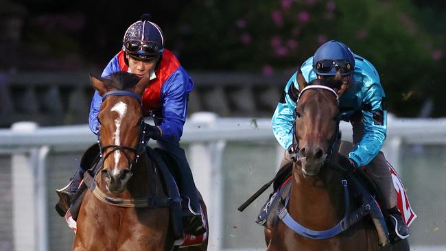 Zaaki (left) and Mo’unga gallop at The Valley ahead of the Cox Plate. Picture: Michael Klein