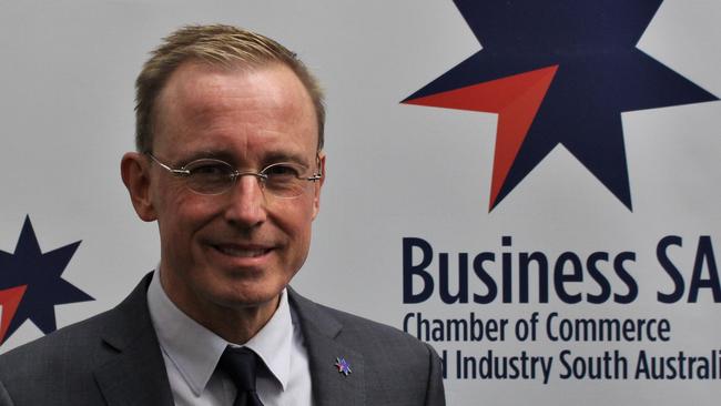 Martin Haese, chief executive officer of Business SA. Picture supplied