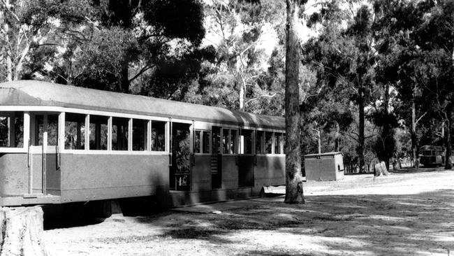 The tram in Wattle Park in 1986.