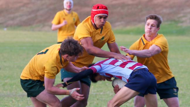 St Augustine's players (yellow) are set to play in a huge Wallabies curtain-raiser.