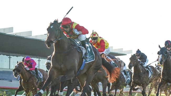 Beast Mode ridden by Blake Shinn wins the Tobin Brothers Celebrating Lives Handicap at Sportsbet Sandown Hillside Racecourse on July 03, 2024 in Springvale, Australia. (Photo by Scott Barbour/Racing Photos via Getty Images)