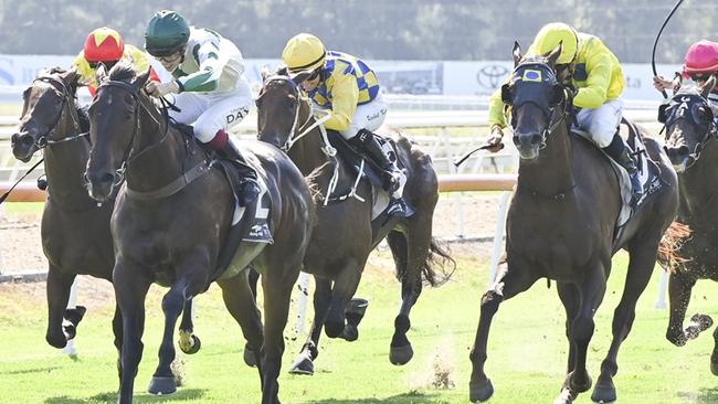 Generous Harry (left) has been trialling very well ahead of his return to racing at Wyong. Picture: Bradley Photos