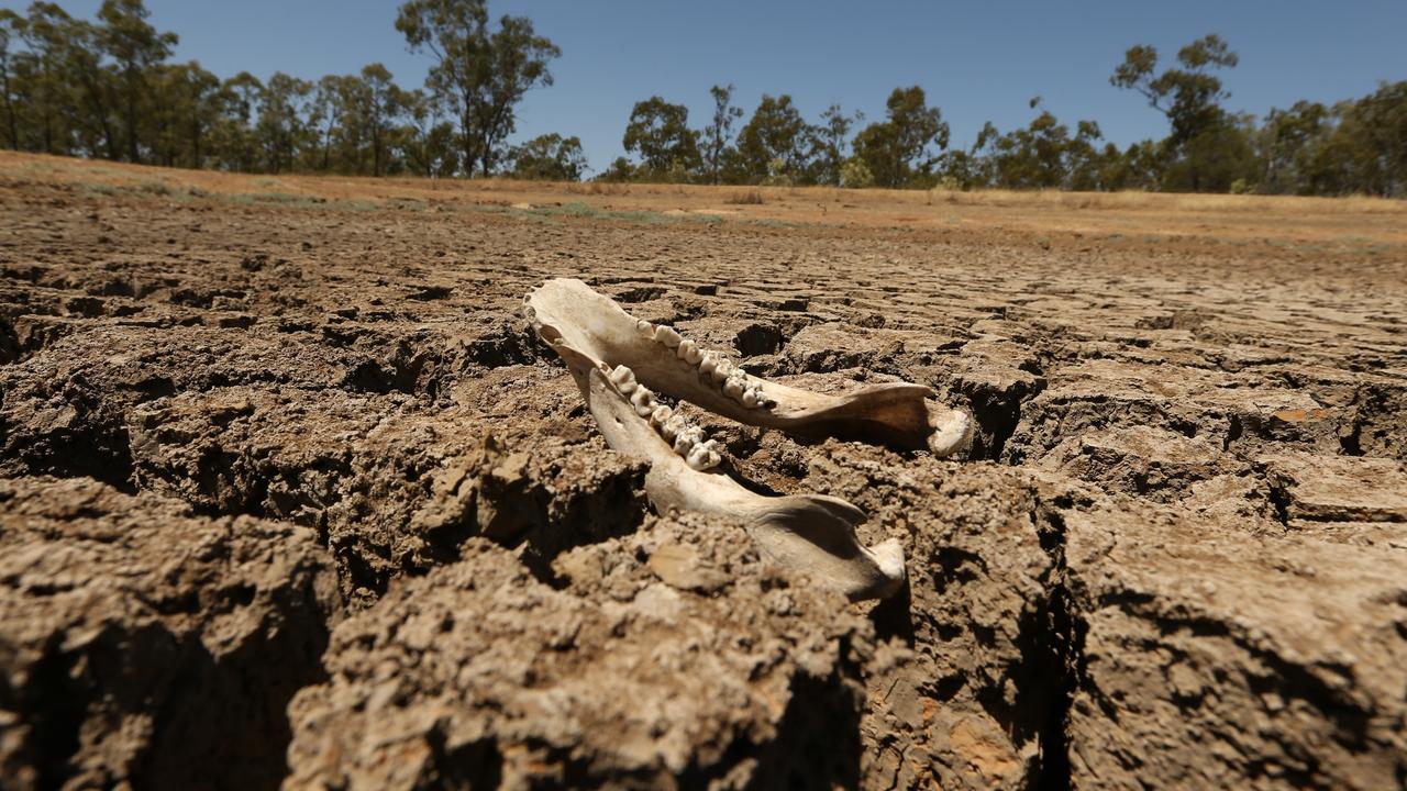 AUSTRALIAN SCIENTISTS USE SATELLITES TO PREDICT DROUGHT 5 MONTHS IN ADVANCE