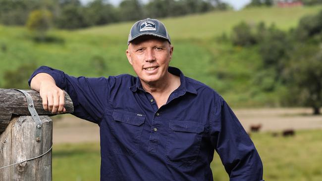 ‘He’s got a great group of old school mates who catch up regularly’: Peter Dutton finds time in his personal life to meditate and indulge in organic farming at his property on the outskirts of Brisbane. Picture: Zak Simmonds