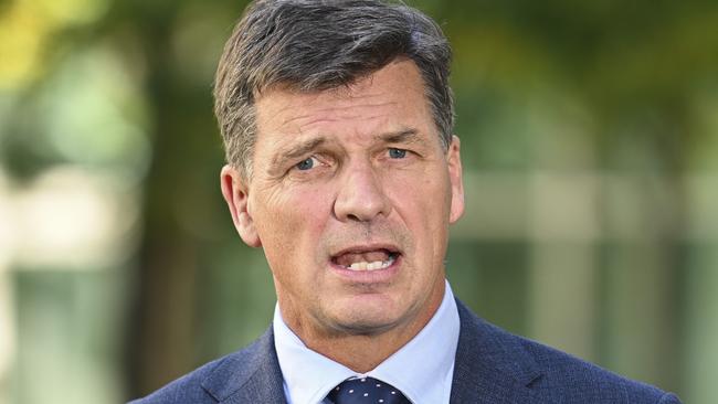 Shadow treasurer Angus Taylor suggested the Coalition could block the measure. Picture: NCA NewsWire / Martin Ollman