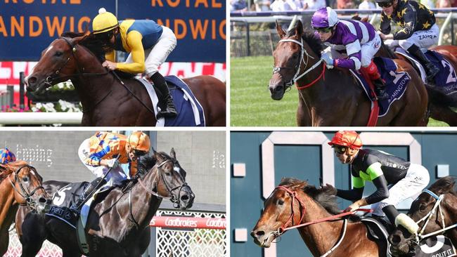 From top left: Storm Boy (Sires’ Produces Stakes), Riff Rocket (ATC Derby), Think About It (Doncaster Mile) and Imperatriz (TJ Smith Stakes) are among the contenders in their respective Group 1 races at Randwick on Saturday.