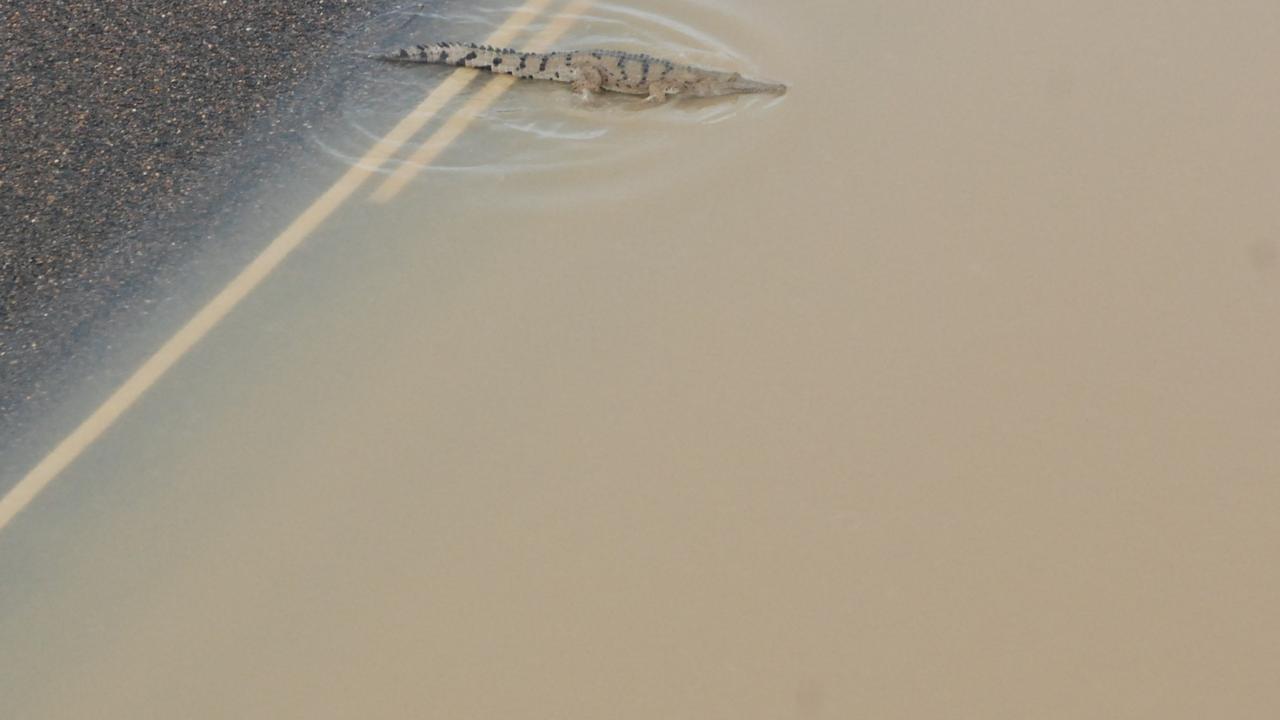 Queenslanders have been warned to watch for crocodiles in the wake of “incredible” rainfall from ex-tropical Cyclone Owen.