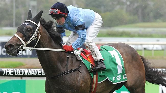 The Chris Waller-trained Opinion loves the wet and will revel in conditions today. Picture: Simon Bullard