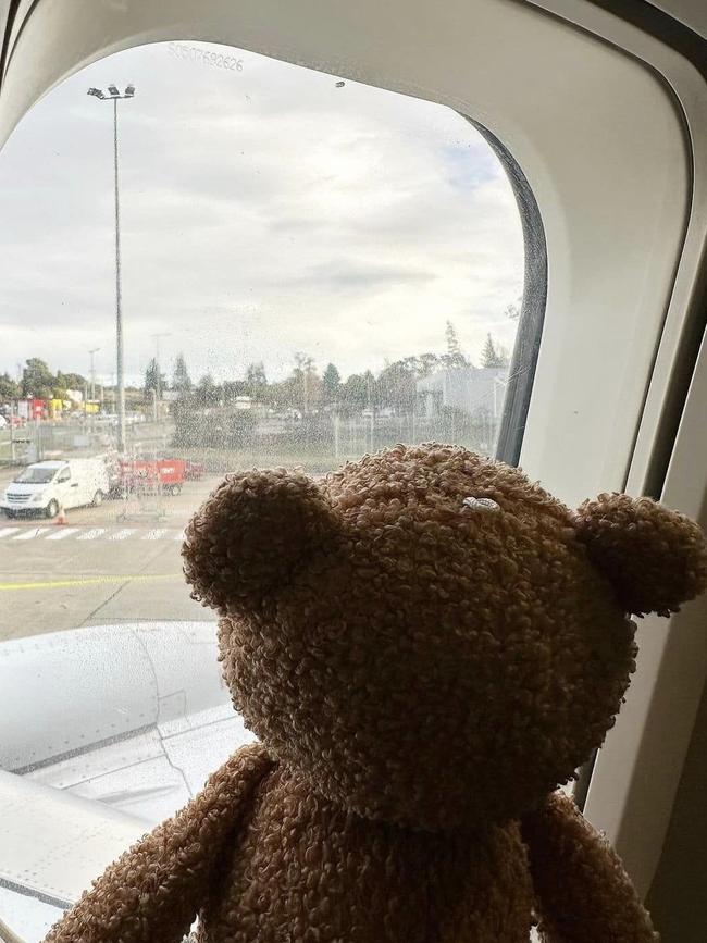 The bear was left behind on a flight to Perth. Picture: Facebook