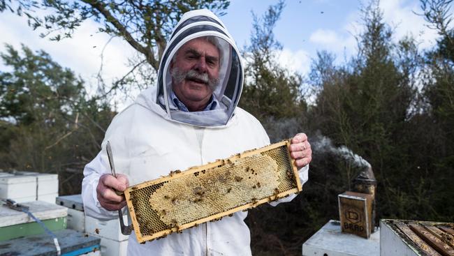 Busy at it: Lindsay Bourke from Australian Honey Products checks bee hives in Tasmania. Picture: Heath Holden