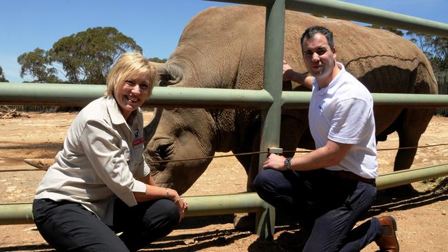 Zoos SA chief executive Elaine Bensted and Beach Energy’s community head Rob Malinauskas meet Satara, Monarto’s resident Southern White Rhino, who arrived from Africa in 2002.