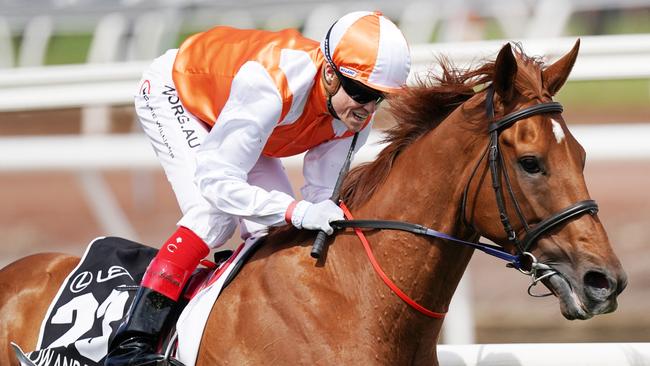 Melbourne Cup winner Vow And Declare has a great record at Flemington. Picture: AAP