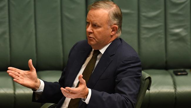 Leader of the Opposition Anthony Albanese. Picture: Sam Mooy/Getty Images