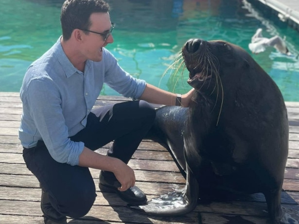 Shadow Minister for Environment and the Great Barrier Reef Sam O’Connor at Sea World. Picture: Facebook