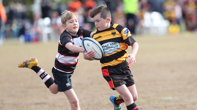 Action in a match between West Harbour and Central Coast U10s.