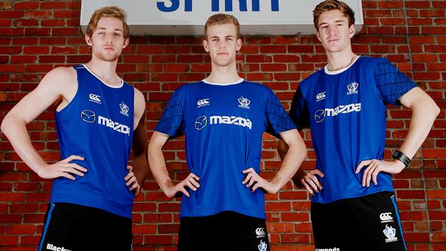 North Melbourne 2014 draftees Daniel Nielson, Ed Vickers-Willis and Sam Durdin. Picture: Colleen Petch.