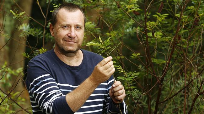 Fears unique Sydney plant habitat will be wiped out