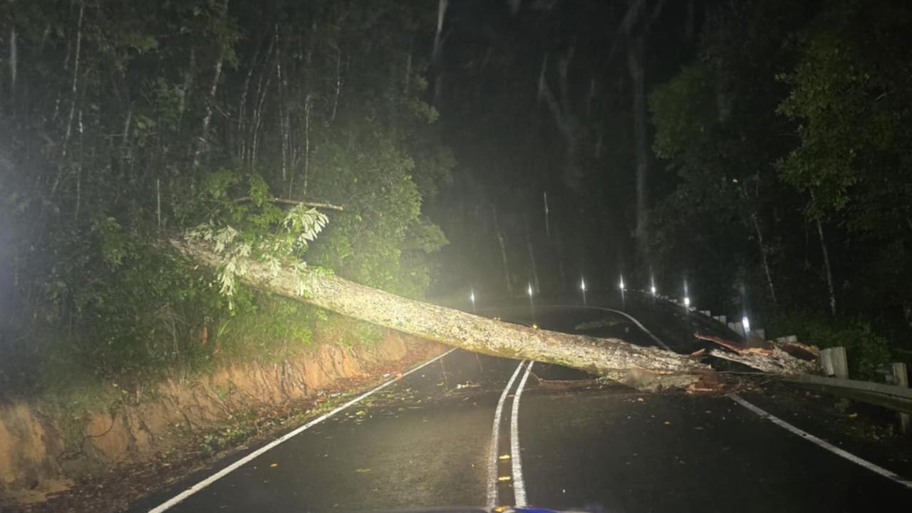 A big tree over the road at the top of the Gillies Range Rd closed the route for a period on Wednesday morning. Picture: Kevin Clarke