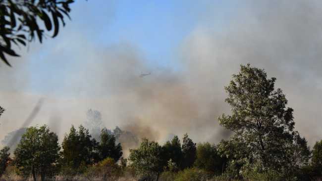 UPDATE: Grass fire near Gin Gin under control | The Courier Mail