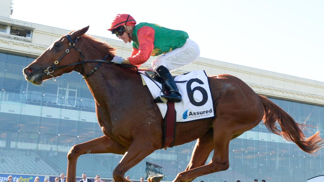 Brad Waters’ horses to follow and forgive from Caulfield