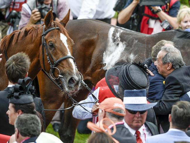 2014 Melbourne Cup at Flemington Race Course. Red Cadeaux after the race. Picture: Jason Edwards.