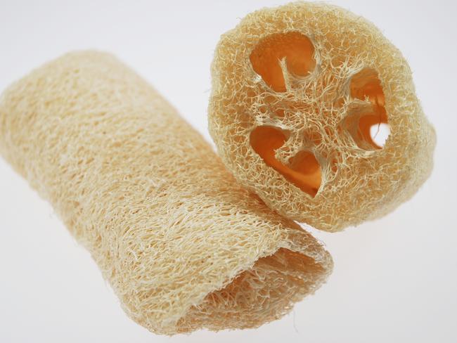 A loofah in its natural state - from the Luffa Cylindrica plant. 