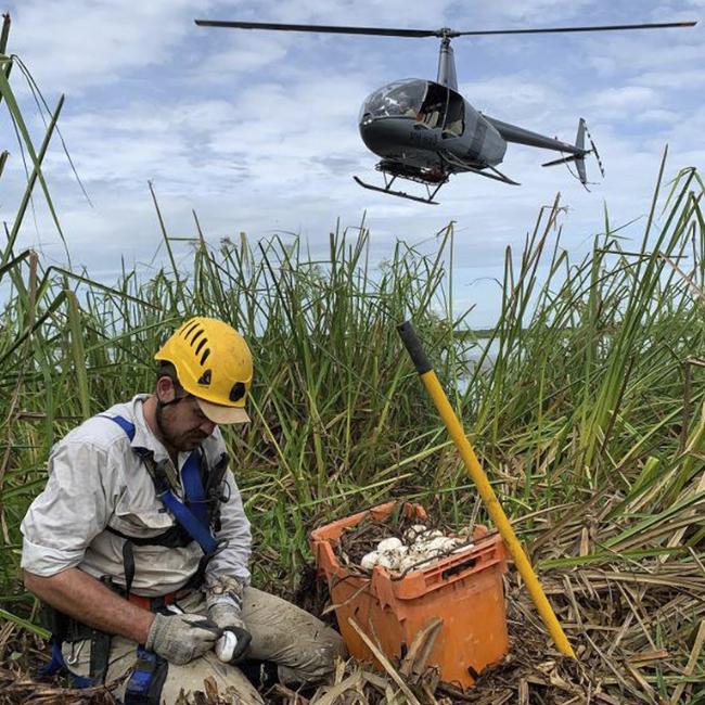 Remote Helicopters Australia director and chief pilot Michael Burbidge has been charged over the chopper crash that killed Outback Wrangler cast member Chris ‘Willow’ Wilson. Pictured here is Wilson in the foreground and behind him a chopper, piloted by Burbridge.