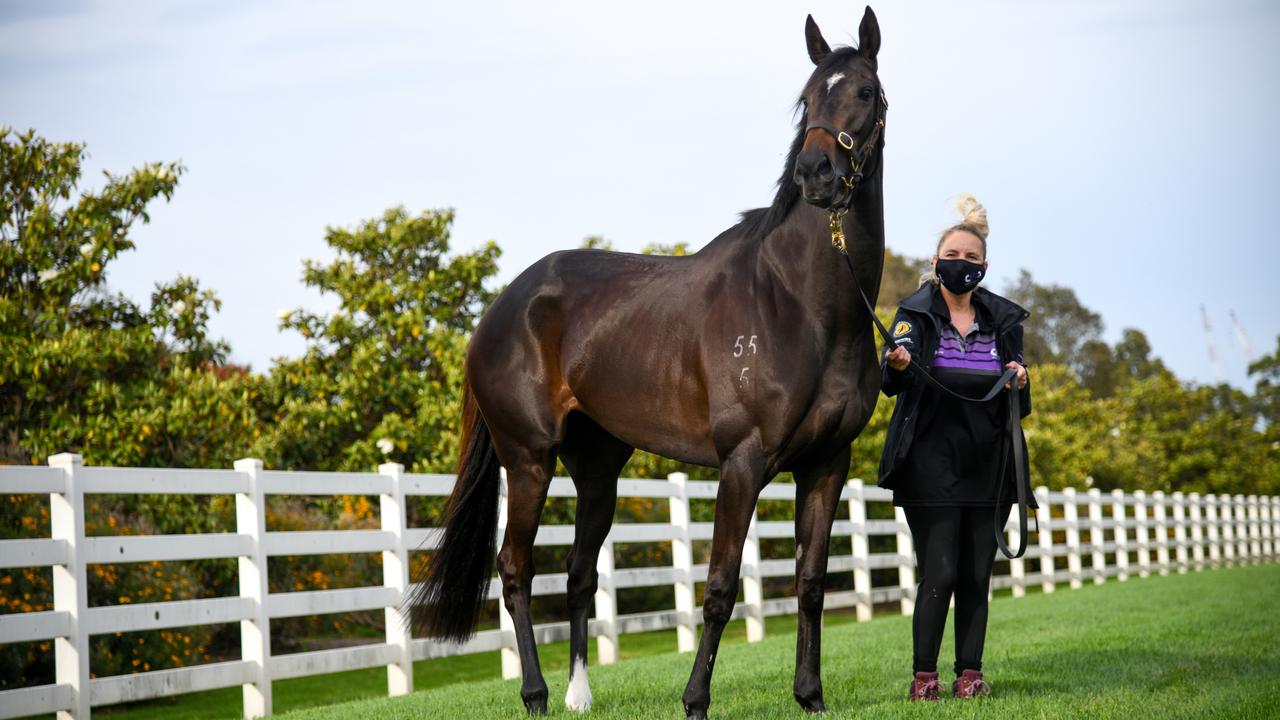 Racing: Cup-winning Jockey James McDonald Saddles Up For Eight Rides On ...