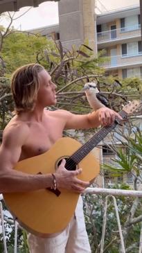 Only in Australia... Kookaburra sings with Aussie man