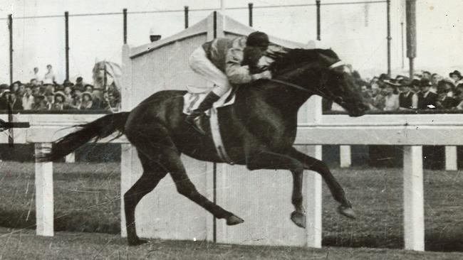 Bernborough is one of the five original horses inducted into the Hall of Fame.