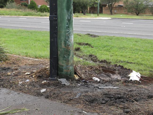 Scene of the fatal car crash. Picture: NCA NewsWire / Max Mason-Hubers