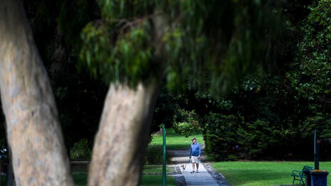 You can take your dog for a walk as long as you maintain physical distancing from others. Picture: Penny Stephens