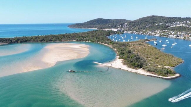 Doggie Beach, Noosa Heads. Picture – Noosa Council.