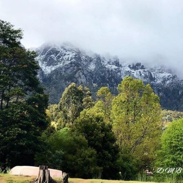 Snow overnight in Tasmania. Picture: @backwardsintimeoz