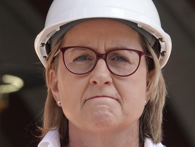 MELBOURNE, AUSTRALIA - NewsWire Photos - 09 FEBRUARY, 2025:  Victorian Premier Jacinta Allan and Minister for TransportInfrastructure to make an announcement at Arden train station the morning after the state by elections.  Picture: NewsWire / Valeriu Campan