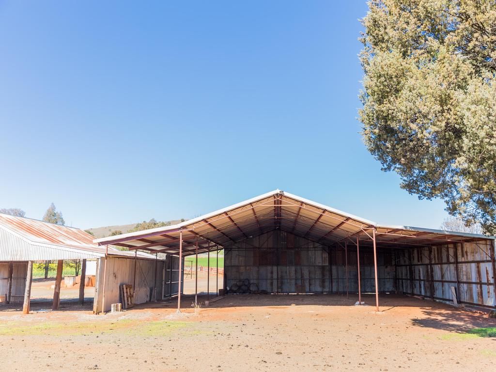 The property also features outbuildings including machinery shed, grain shed and shearing shed. Photo: Chloe Smith.