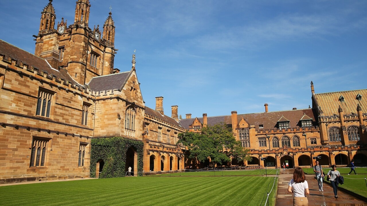 USYD's decision to 'reward' protesters is a 'shocking decision': Shadow Education Minister