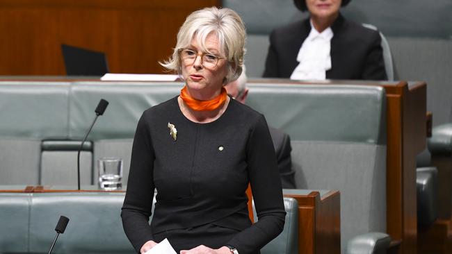 Independent member for Indi Helen Haines delivers her first speech in the House of Representatives at Parliament House in Canberra, yesterday. Picture: AAP