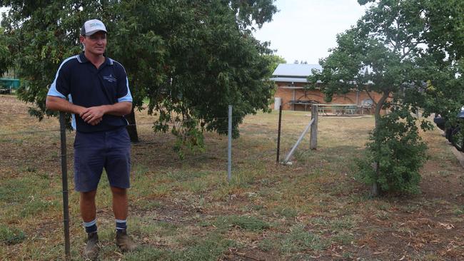 Simpson on his farm in Maitland. Photo: Matt Buxton