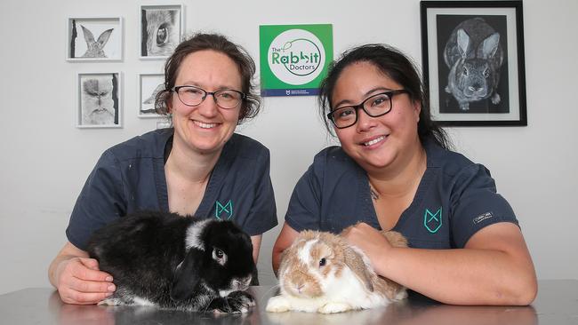 Number 5: Collingwood’s The Rabbit Doctors, Dr Lizzie Selby and Dr Nicole Su. Picture: Ian Currie