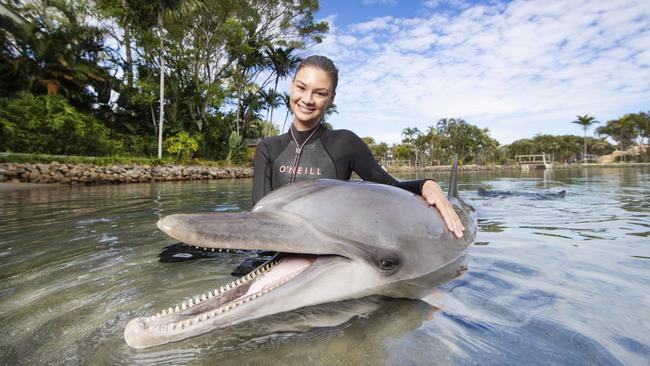 Marine mammal trainer Brooke Pelizzari bonding with dolphin Scooter at Sea World. Picture: Nigel Hallett