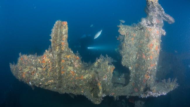 Divers find mystery shipwreck off Sydney coast, believed to be tug boat ...