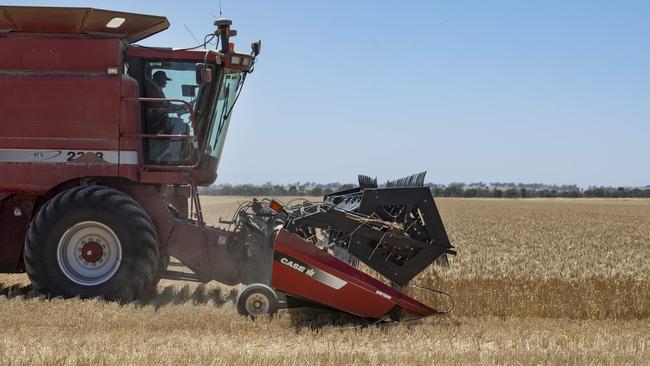 The past two years have been record-breaking for Australian wheat and barley and canola crops. Picture: Zoe Phillips