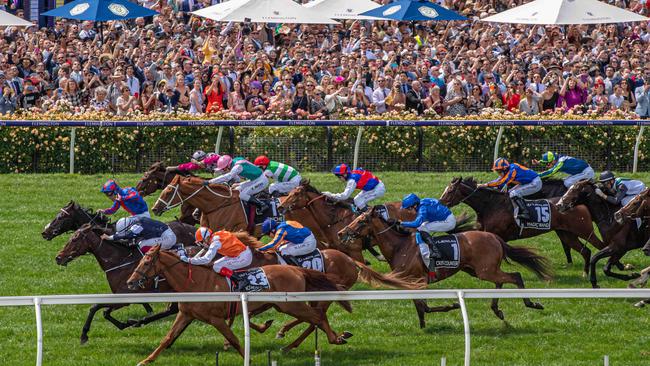 Vow And Declare edged out a wave of internationals runners to win the Melbourne Cup. Picture: Jason Edwards