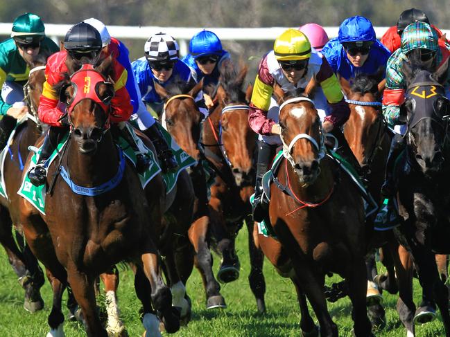 Loving home ridden by Tye Angland  (yellow cap, maroon with yellow armbands) wins race 1 during Scone  Races located in the Upper Hunter Region of NSW. The Bend . Pic Jenny Evans