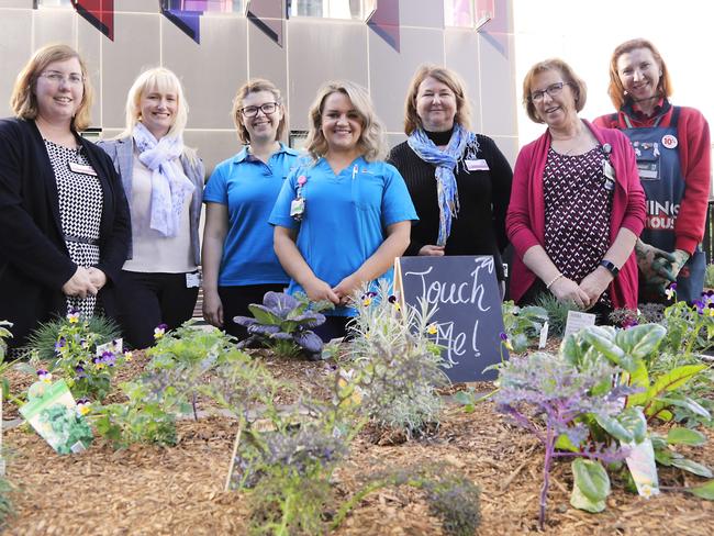 L-R) Sonia Daniels, Carol Cunningham, Sarah Cole, Amanda Nowak, Janice Low, Julianne Gibbons and Kylie Hazeltine.