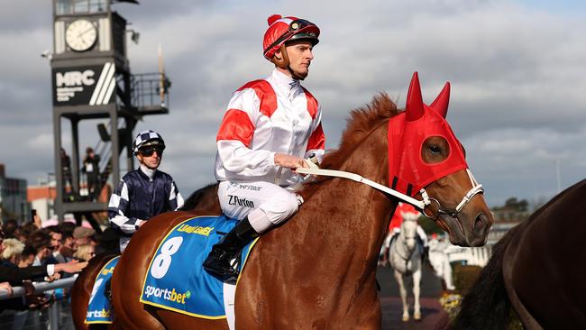 Lloyd Williams gives Land Legend a hope in the Melbourne Cup. Picture: Getty Images.