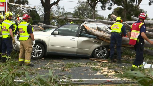 NSW Police and emergency services on scene at The Hume Highway after a large gumtree fell on five cars in Warwick Farm. Picture: TNV