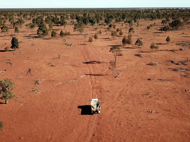 James Foster's merino sheep station 100km west of Walgett. Picture: Sam Ruttyn